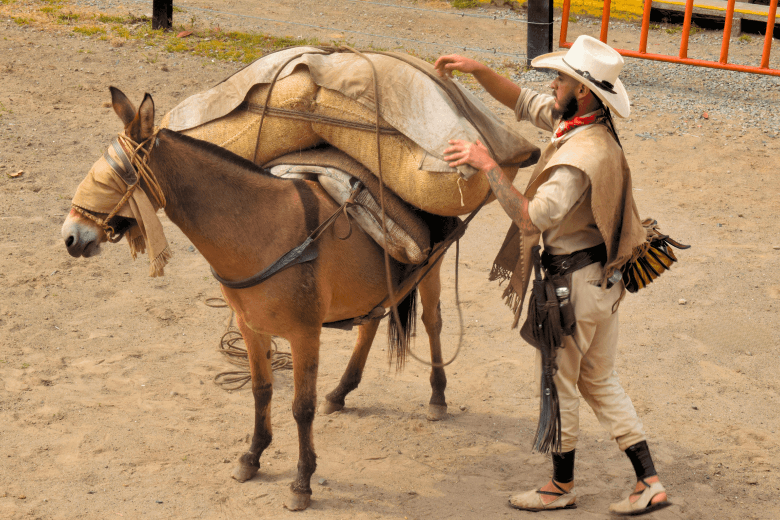 arrieria en el parque de los arrieros